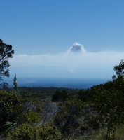 Kilauea from Mauna Loa lookout